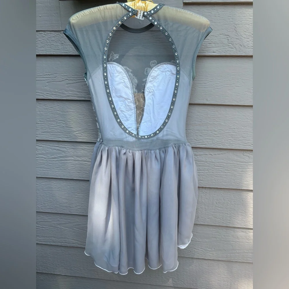 Grey Floral Figure Skating/Dance Dress - Picture 10 of 13